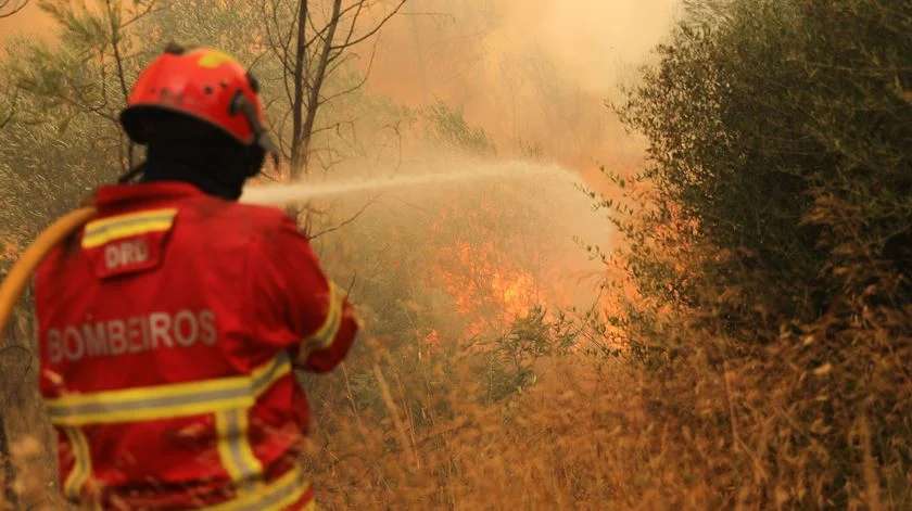103 operacionais e 7 meios aéreos combatem fogo em Penafiel