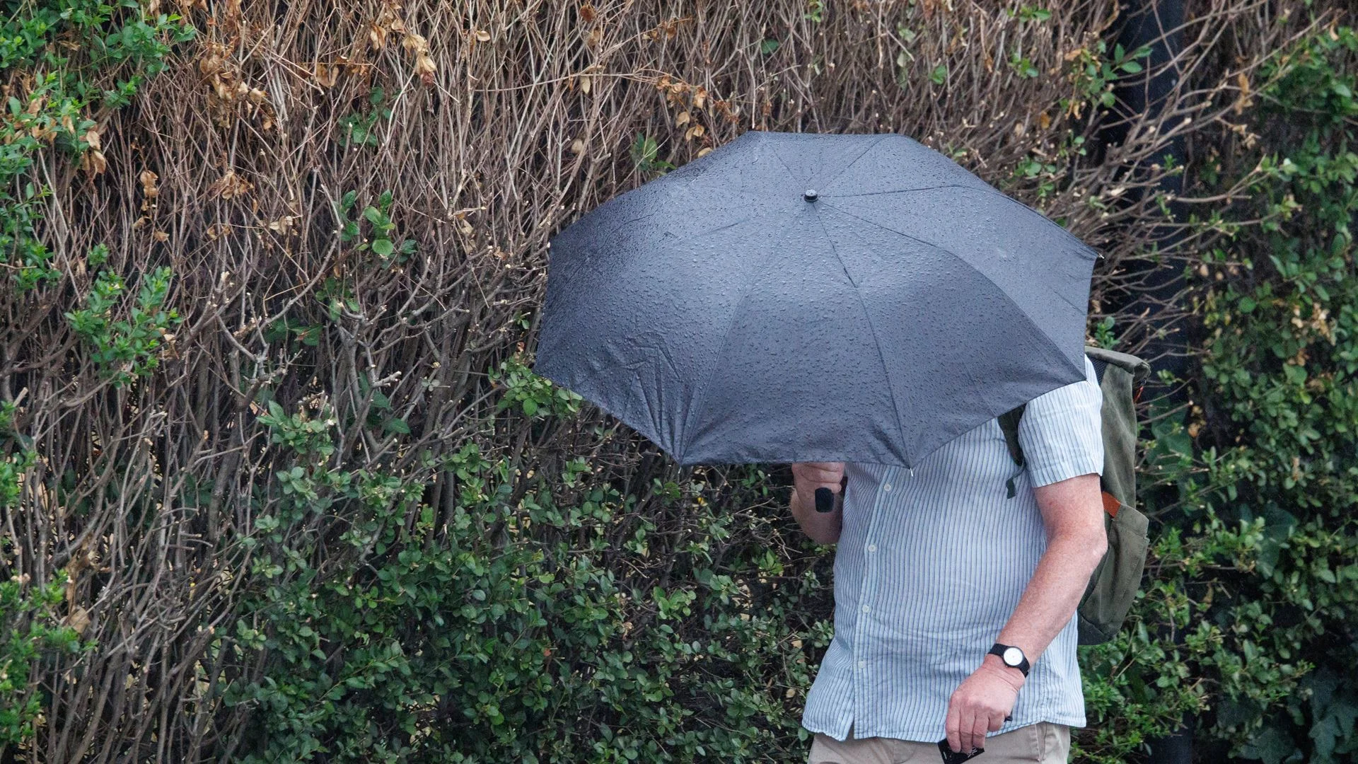 Calor continua no fim de semana, mas vem chuva a partir de segunda-feira