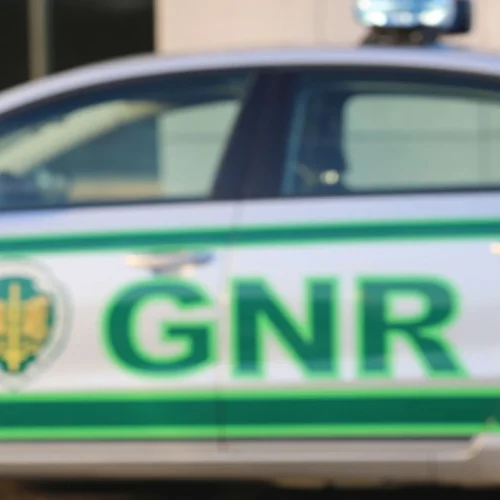 Duas mulheres morrem em estufa na Póvoa de Varzim