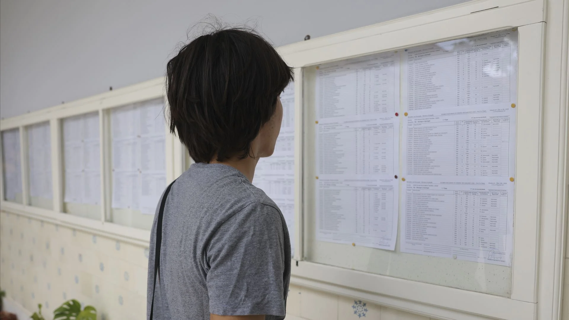 Encarregada de Educação contraria JNE: nota do filho desceu após correção em Física e Química