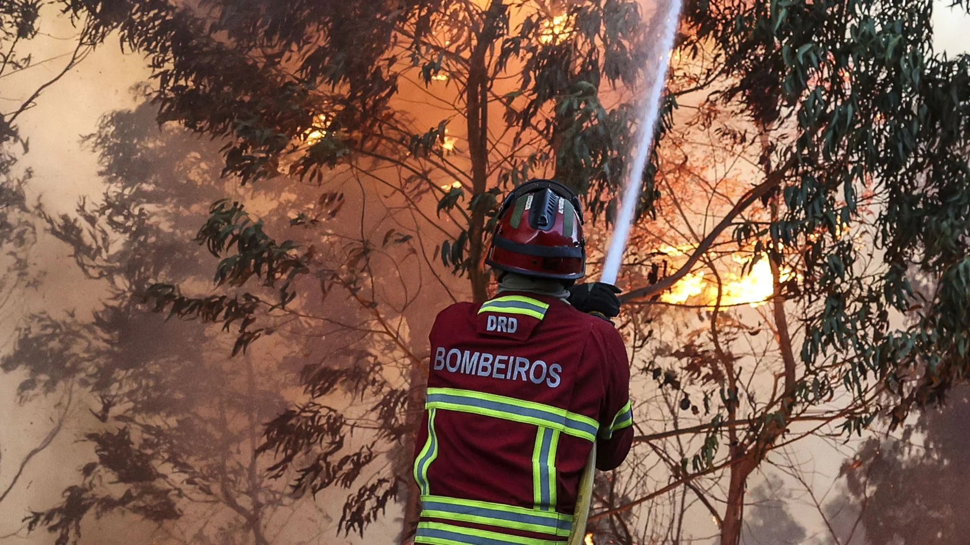 Fogo em Almeirim a ser combatido por mais de 150 operacionais e cinco meios aéreos