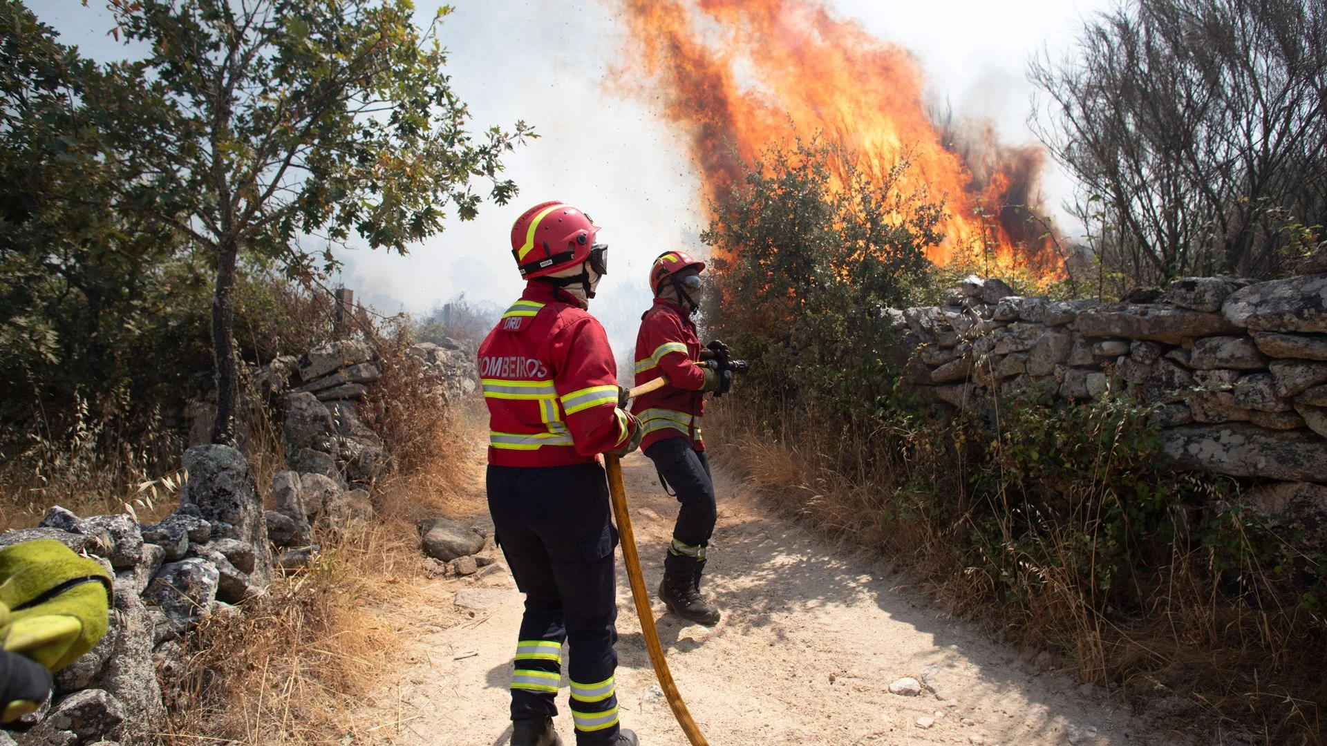 Fogo em Chaves já queimou cerca de 1.000 hectares