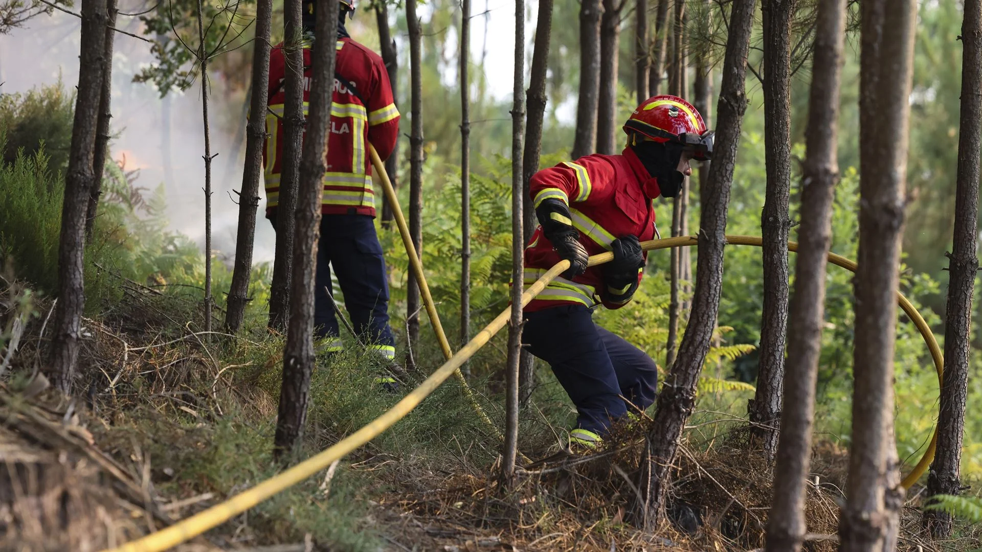 Fogo na Guarda mobiliza mais de 250 bombeiros e nove meios aéreos