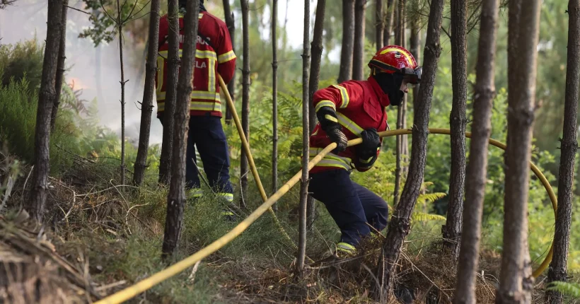 Fogo na Guarda mobiliza mais de 300 bombeiros e quase 100 meios terrestres