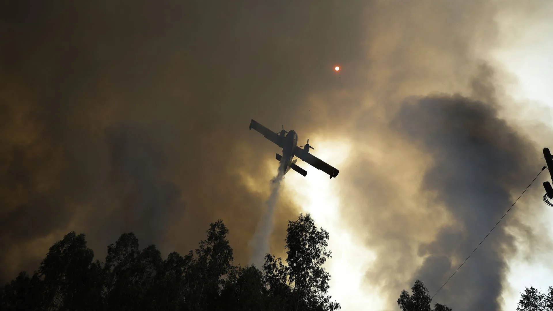 Fogo no Sabugal combatido por 360 bombeiros tem duas frentes