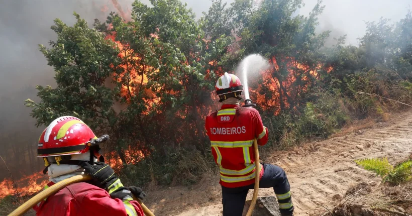 Incêndio. Fogo que começou em Valpaços já queimou 15 mil hectares