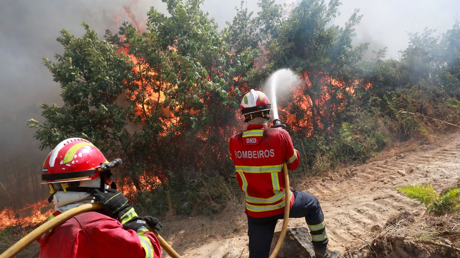 Incêndio. Fogo que começou em Valpaços já queimou 15 mil hectares