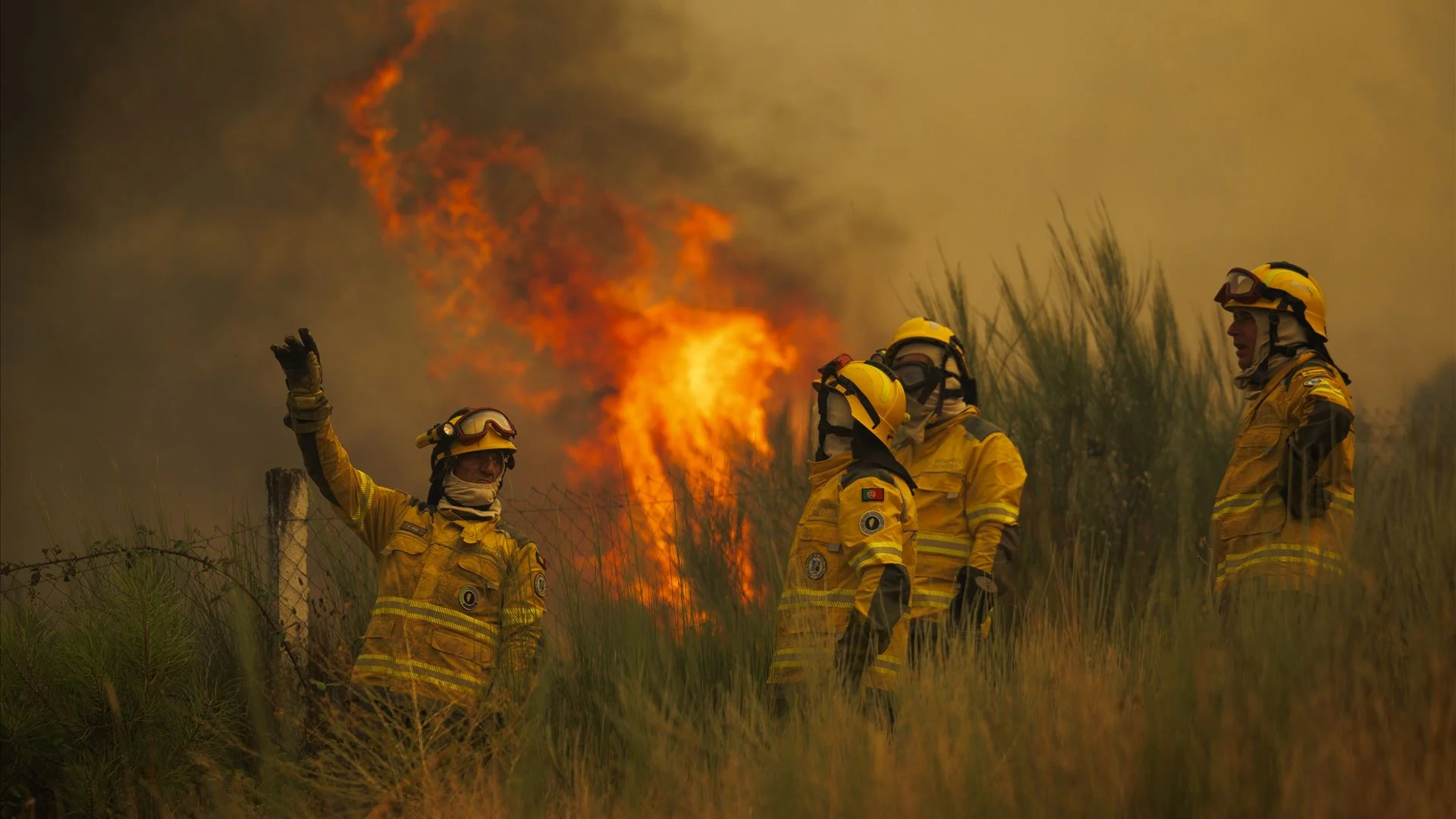 Incêndio: Vale das Fontes em Vinhais confinada, plano de emergência ativado em Mirandela