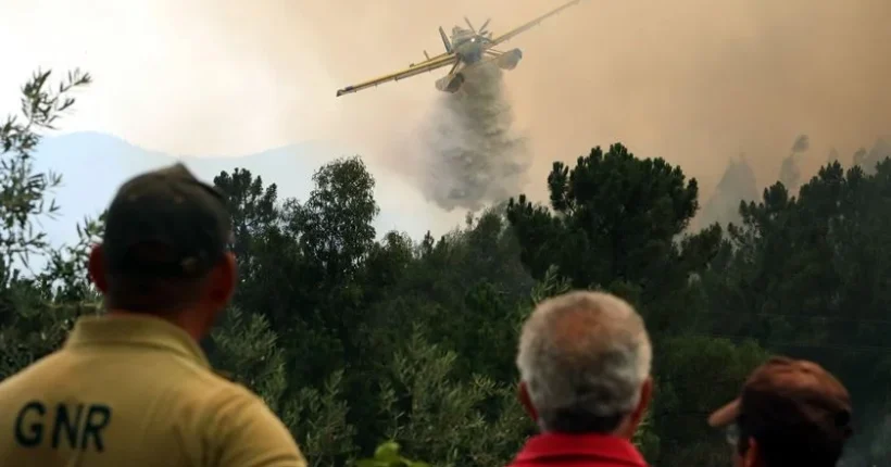 Incêndios: Cerca de 50 concelhos do interior Norte e Centro e Algarve em perigo máximo