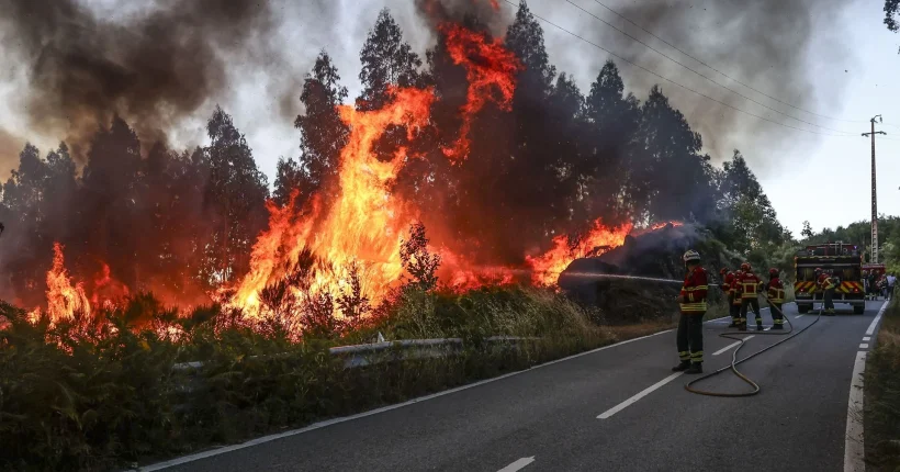 Incêndios: Fogo obriga a corte do trânsito no IP3 entre Tondela e Santa Comba Dão