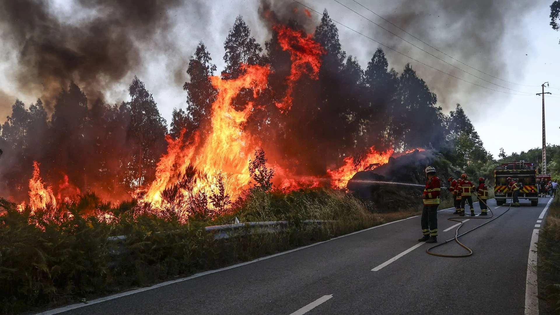 Incêndios: Fogo obriga a corte do trânsito no IP3 entre Tondela e Santa Comba Dão