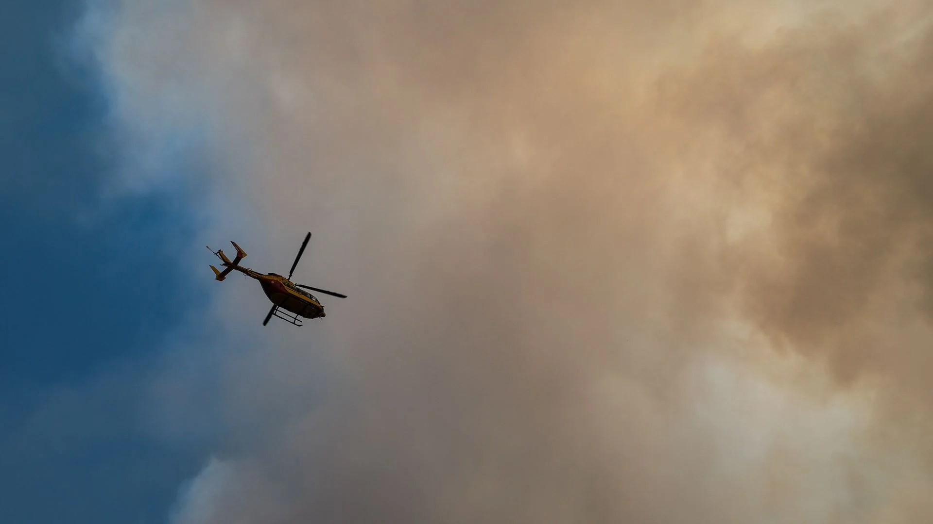 Incêndios. França recebe ajuda de meios aéreos portugueses