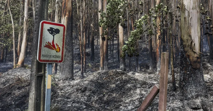Incêndios: Governo prolonga situação de alerta em 10 distritos