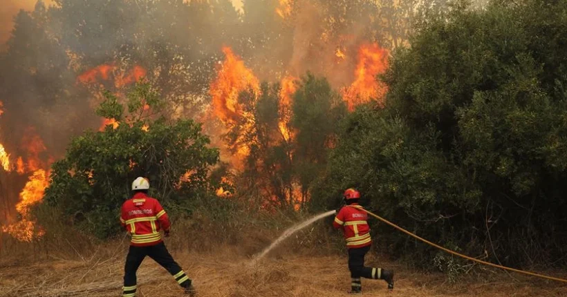 Incêndios: Mais de 20 concelhos do interior Norte e Centro e Algarve em perigo máximo