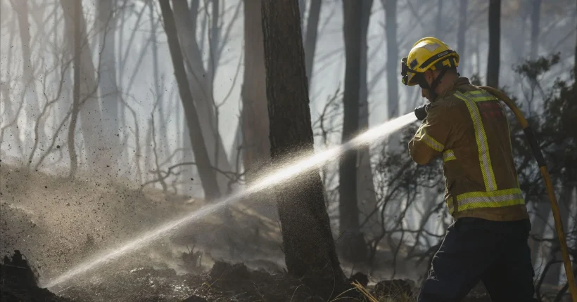 Incêndios: oito concelhos de Vila Real e Bragança em perigo máximo esta segunda-feira