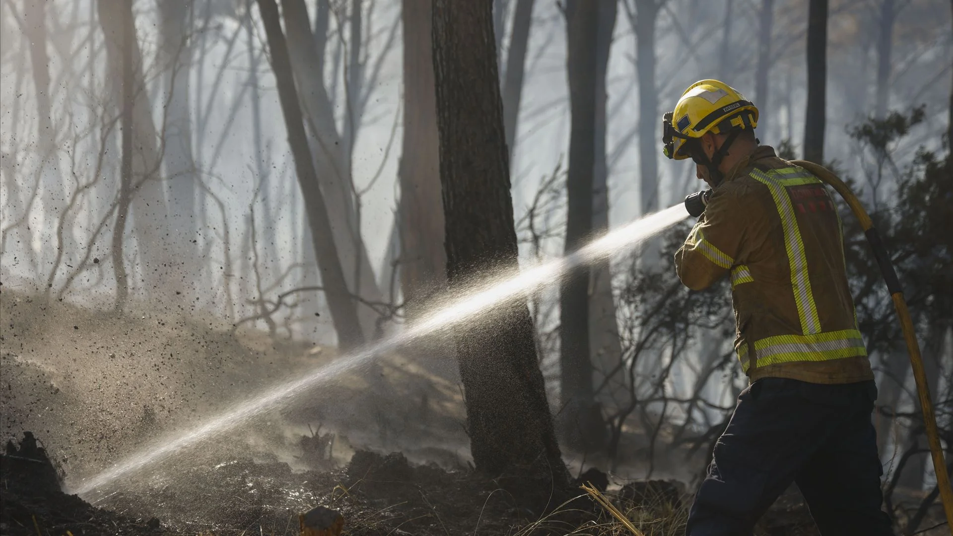 Incêndios: oito concelhos de Vila Real e Bragança em perigo máximo esta segunda-feira