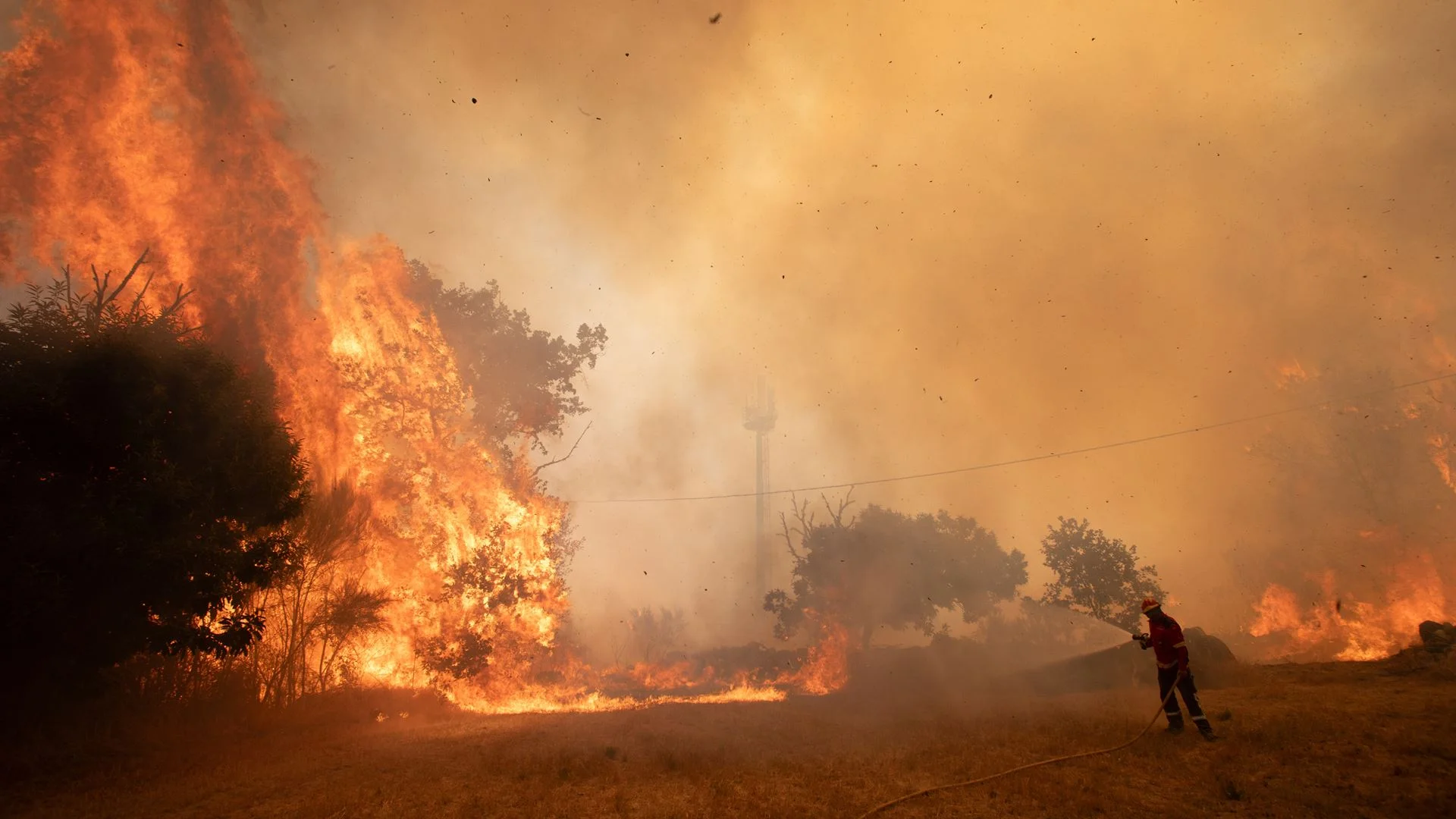 Incêndios. Pequenos focos em Valpaços podem ser dominados nas próximas horas