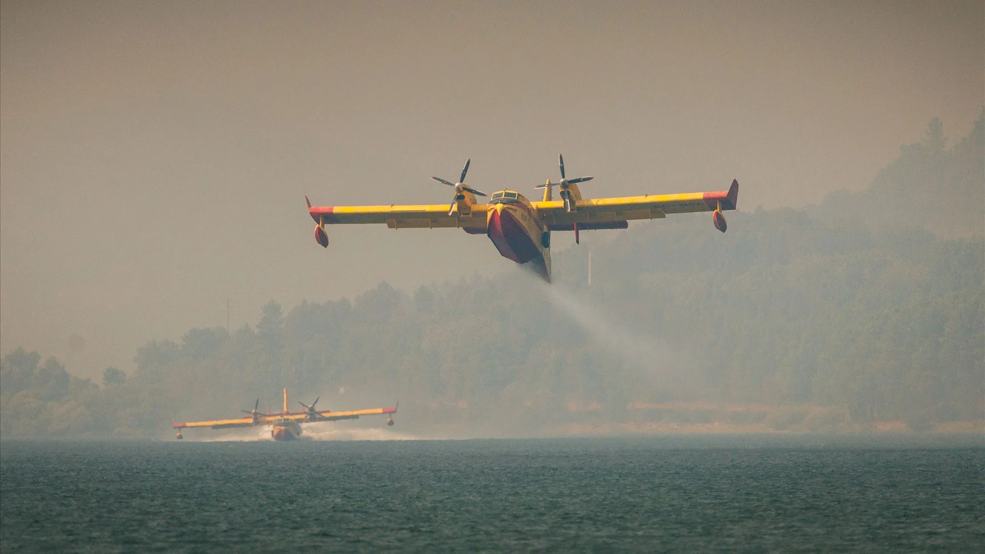 Incêndios. Petição pede interferência de Seguro para compra de seis "Canadair"