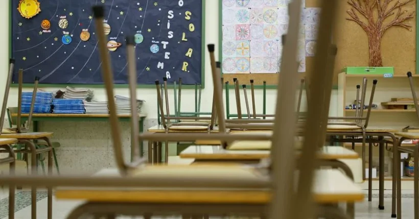 Infestação de pulgas dita encerramento de escola básica na Maia