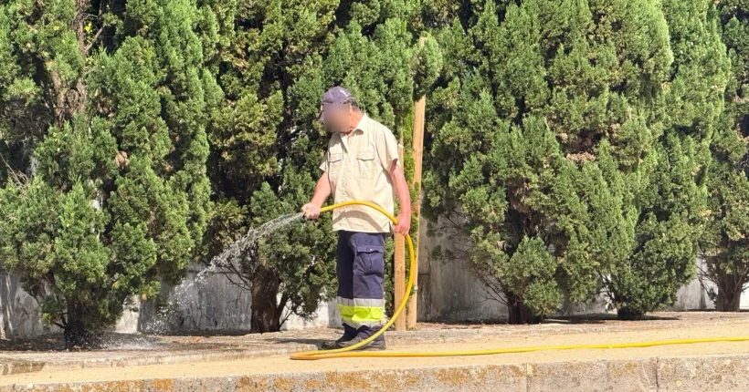 Jardins regados em Almada. Nem a autarquia está a cumprir as proibições de uso de água