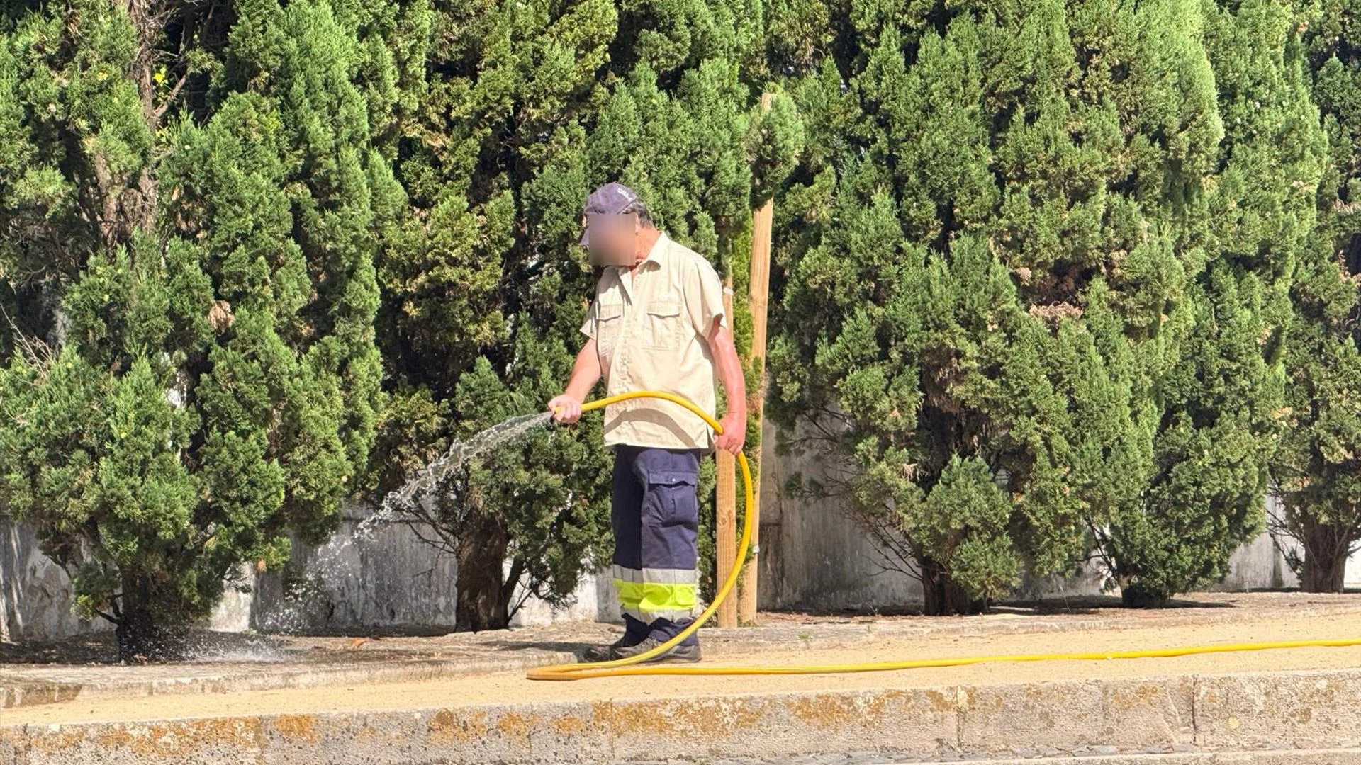 Jardins regados em Almada. Nem a autarquia está a cumprir as proibições de uso de água