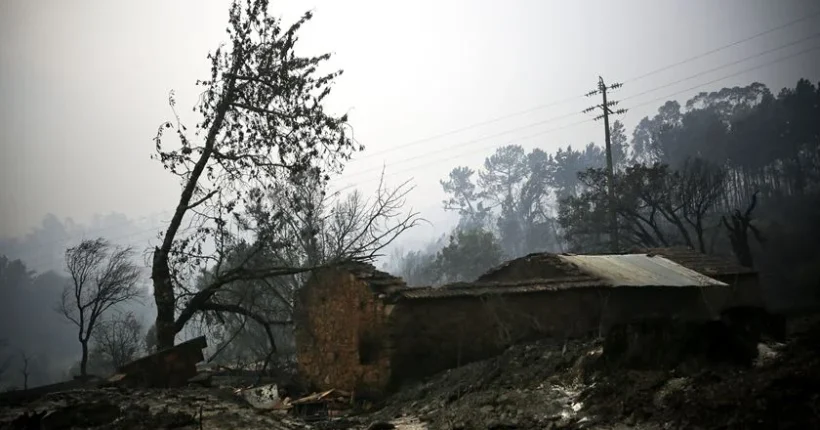 Mais de 50 concelhos do interior Norte e Centro e Algarve em perigo máximo de incêndio
