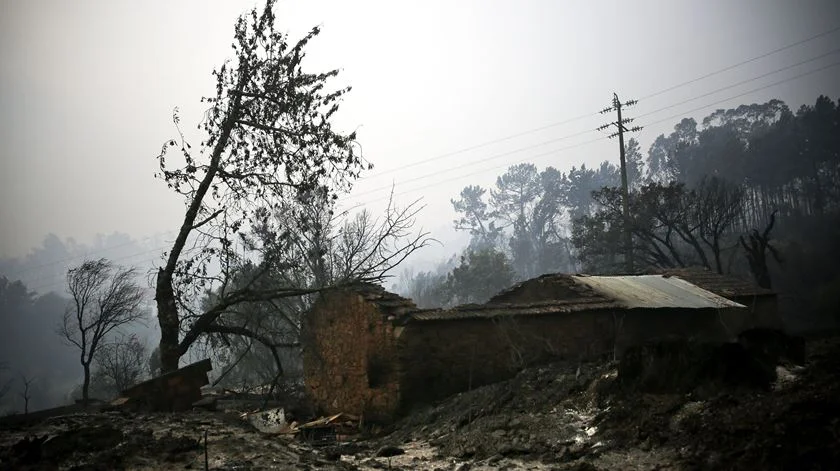Mais de 50 concelhos do interior Norte e Centro e Algarve em perigo máximo de incêndio