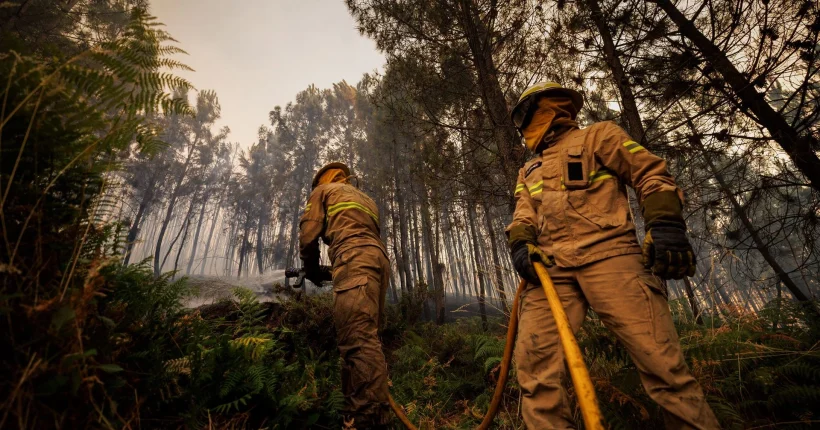 Pacto Climático Europeu apela aos municípios para reforçarem proteção contra incêndios