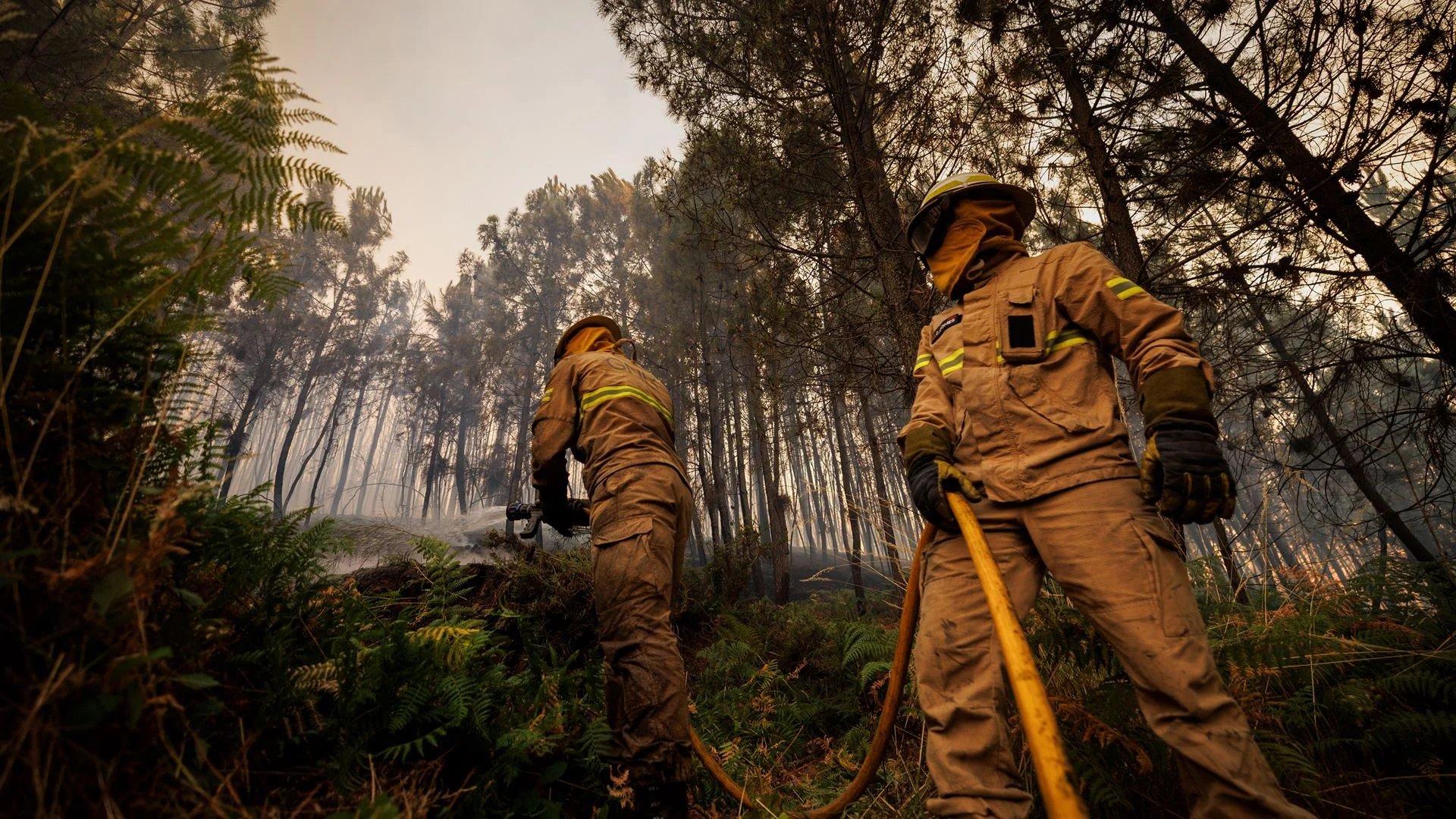 Pacto Climático Europeu apela aos municípios para reforçarem proteção contra incêndios