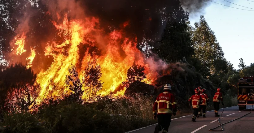 "Pedimos aos portugueses para nos ajudarem a sermos campeões do mundo da redução de fogos"