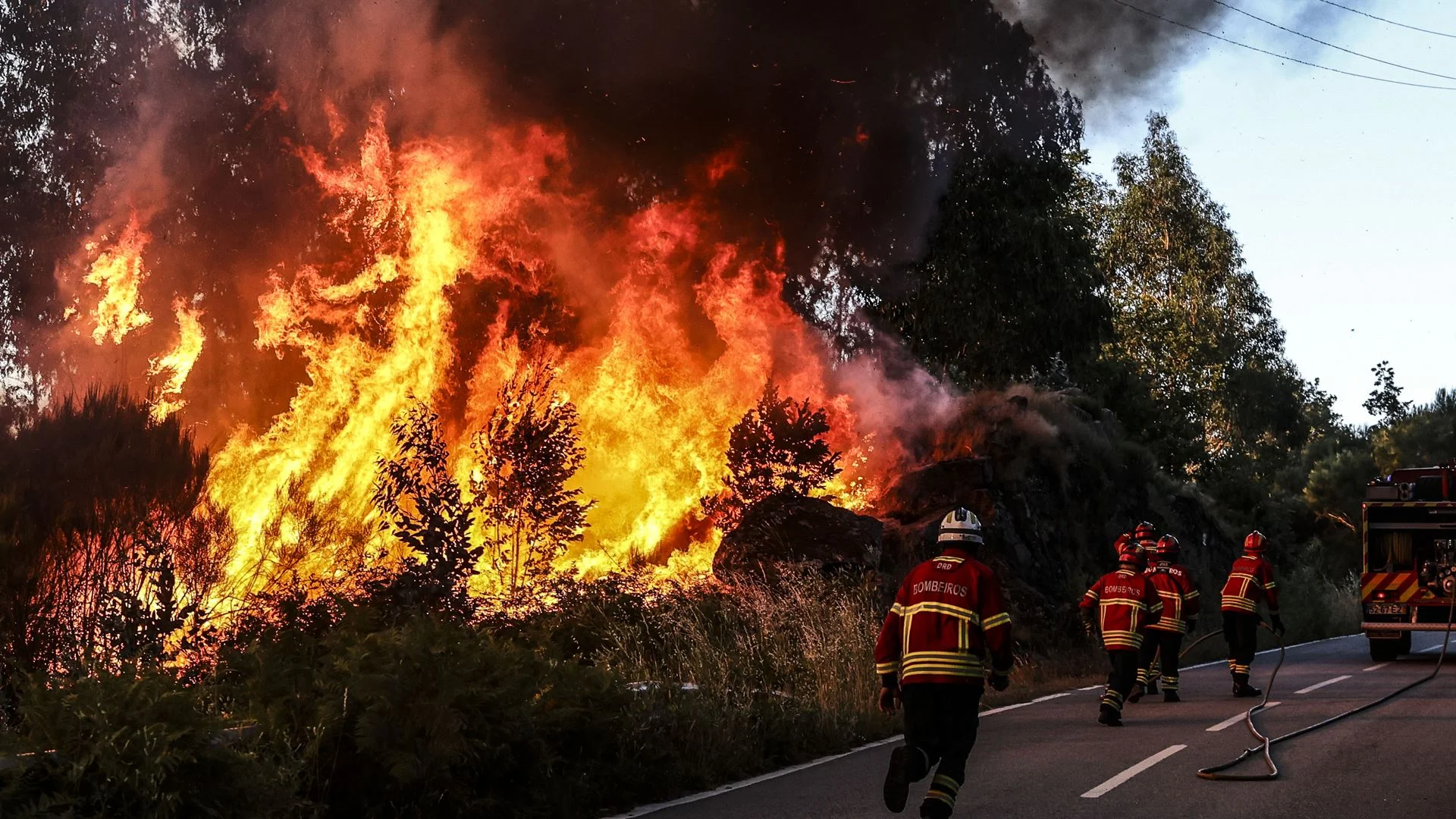 "Pedimos aos portugueses para nos ajudarem a sermos campeões do mundo da redução de fogos"