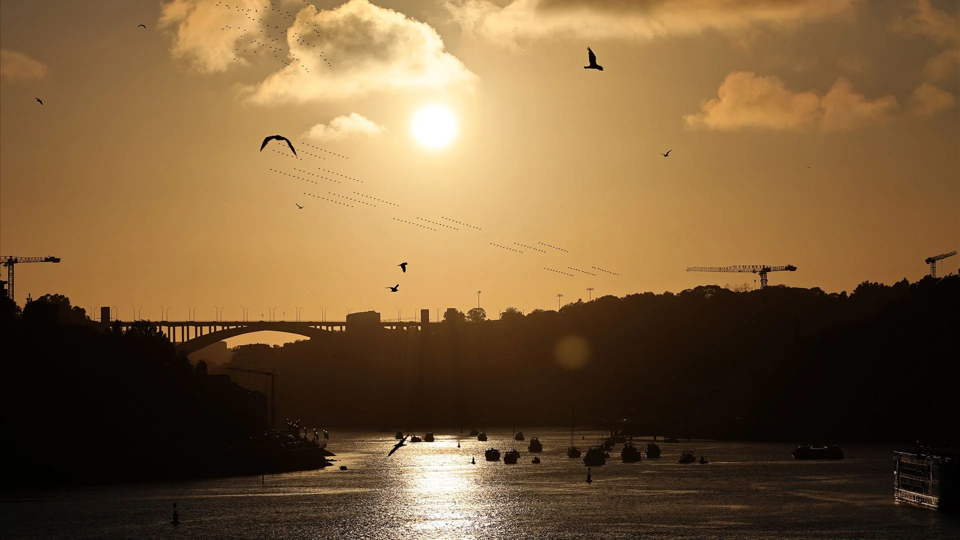 Porto e Gaia passam a ter duas travessias fluviais a partir de 22 de julho