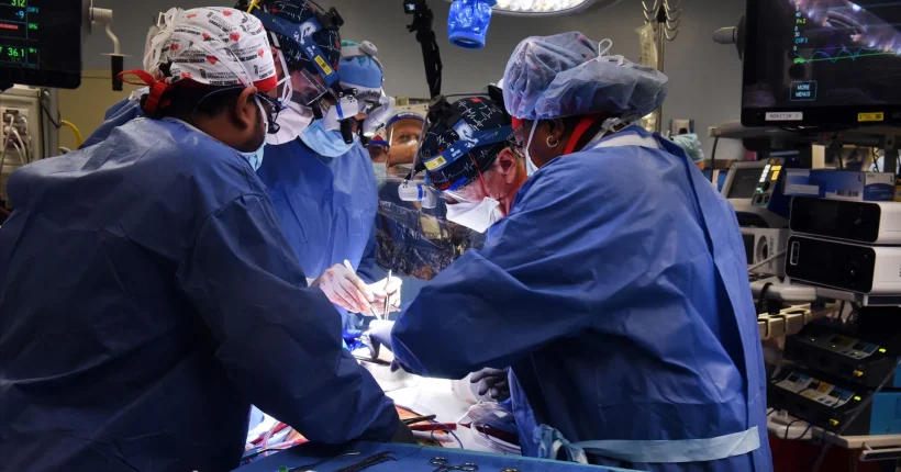 Portugal com máximos históricos de transplantes cardíacos e pulmonares em 2025