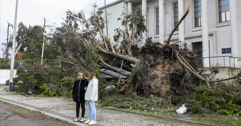 Tribunais de Leiria afetados pelo mau tempo terão obras feitas até ao fim do ano