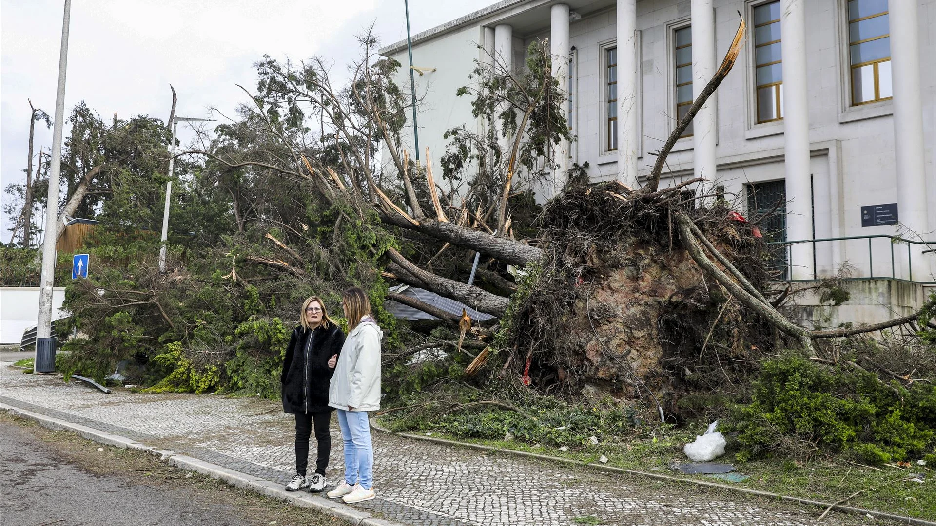 Tribunais de Leiria afetados pelo mau tempo terão obras feitas até ao fim do ano