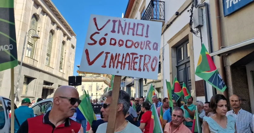 Viticultores do Douro marcam concentração para 7 de agosto na Régua