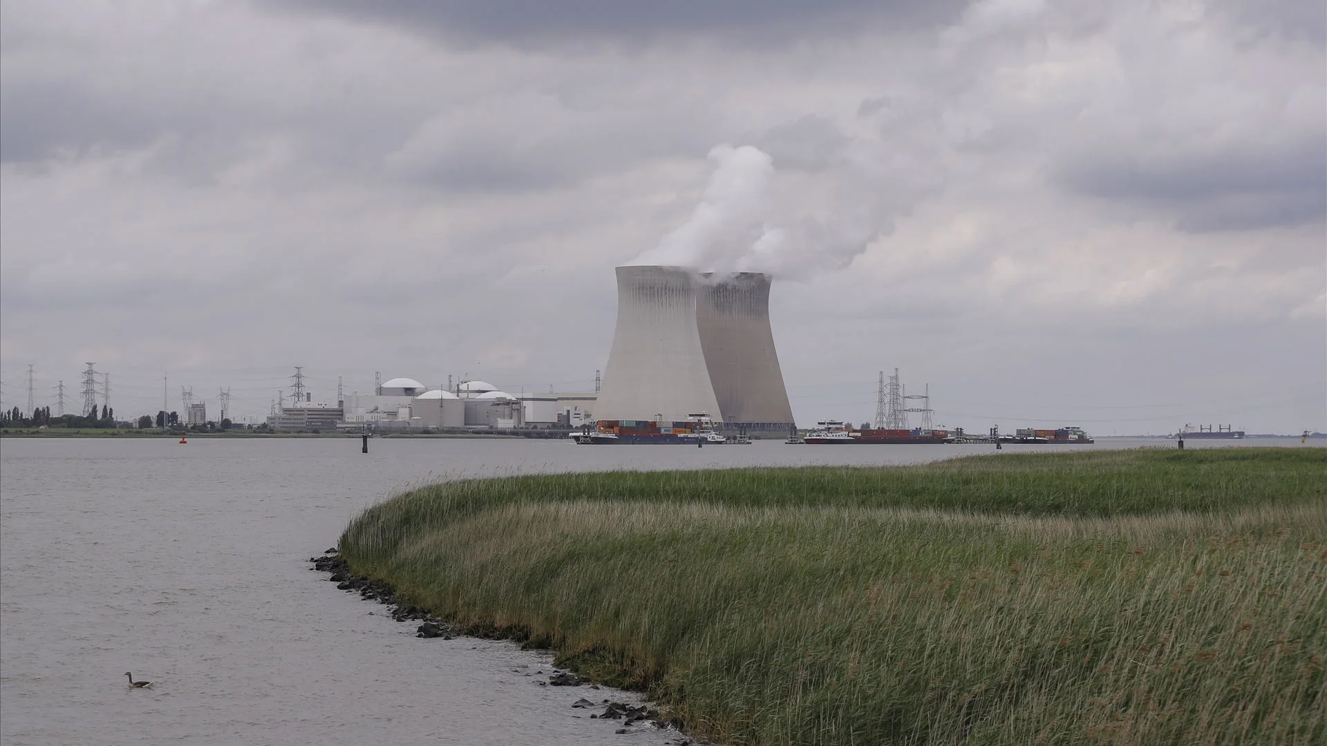 Ambientalistas rejeitam aposta na energia nuclear no mundo: mais cara e menos eficiente