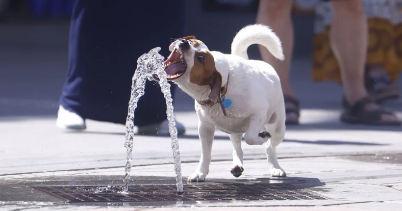 Atenção: Calor vai atingir nove distritos até quinta-feira