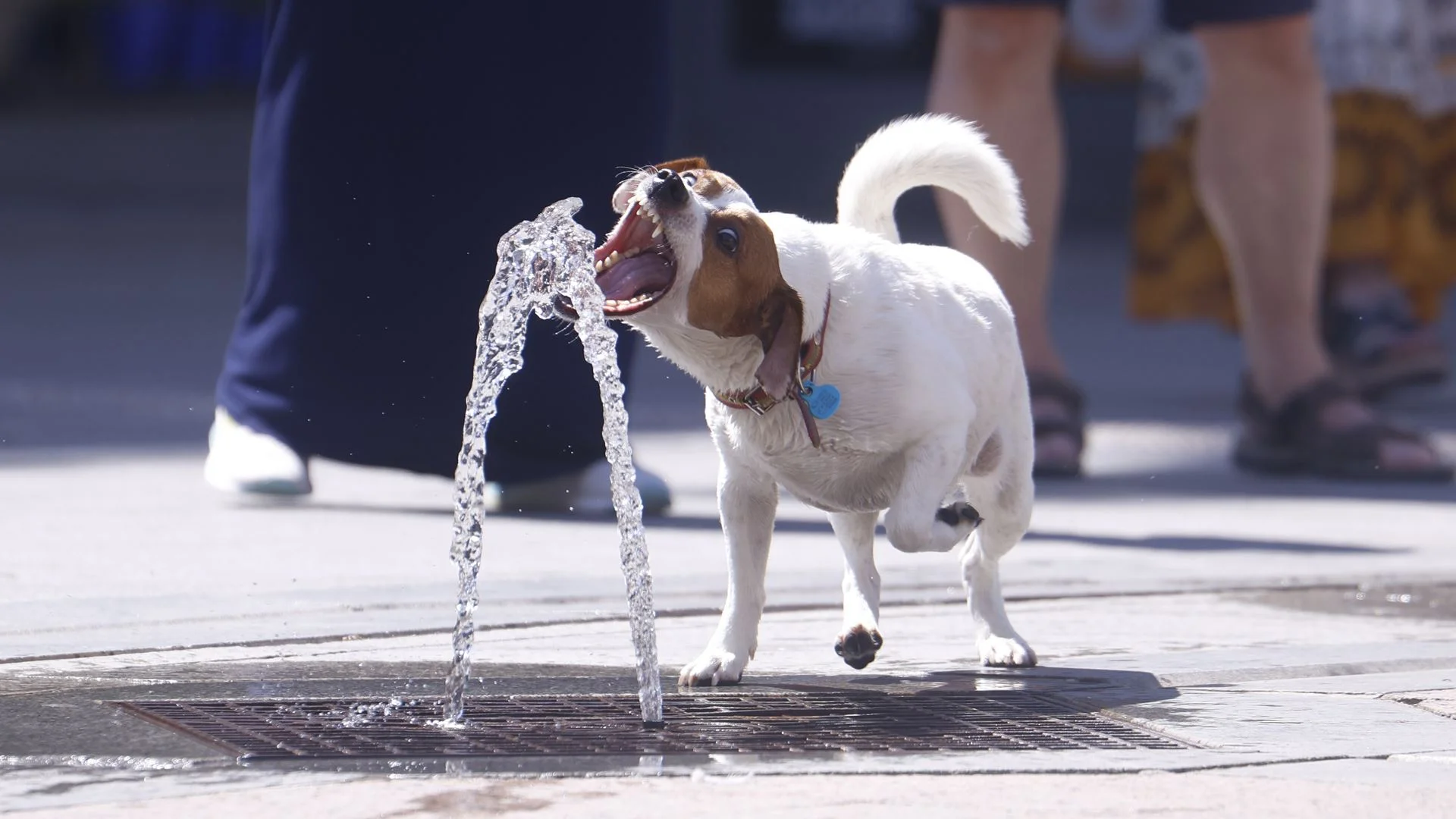 Atenção: Calor vai atingir nove distritos até quinta-feira