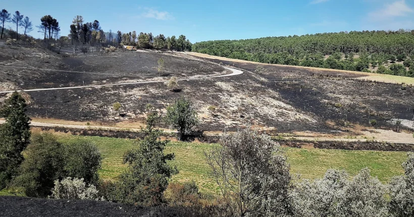 Autarca da Guarda pede rapidez na execução do plano de revitalização da Serra da Estrela