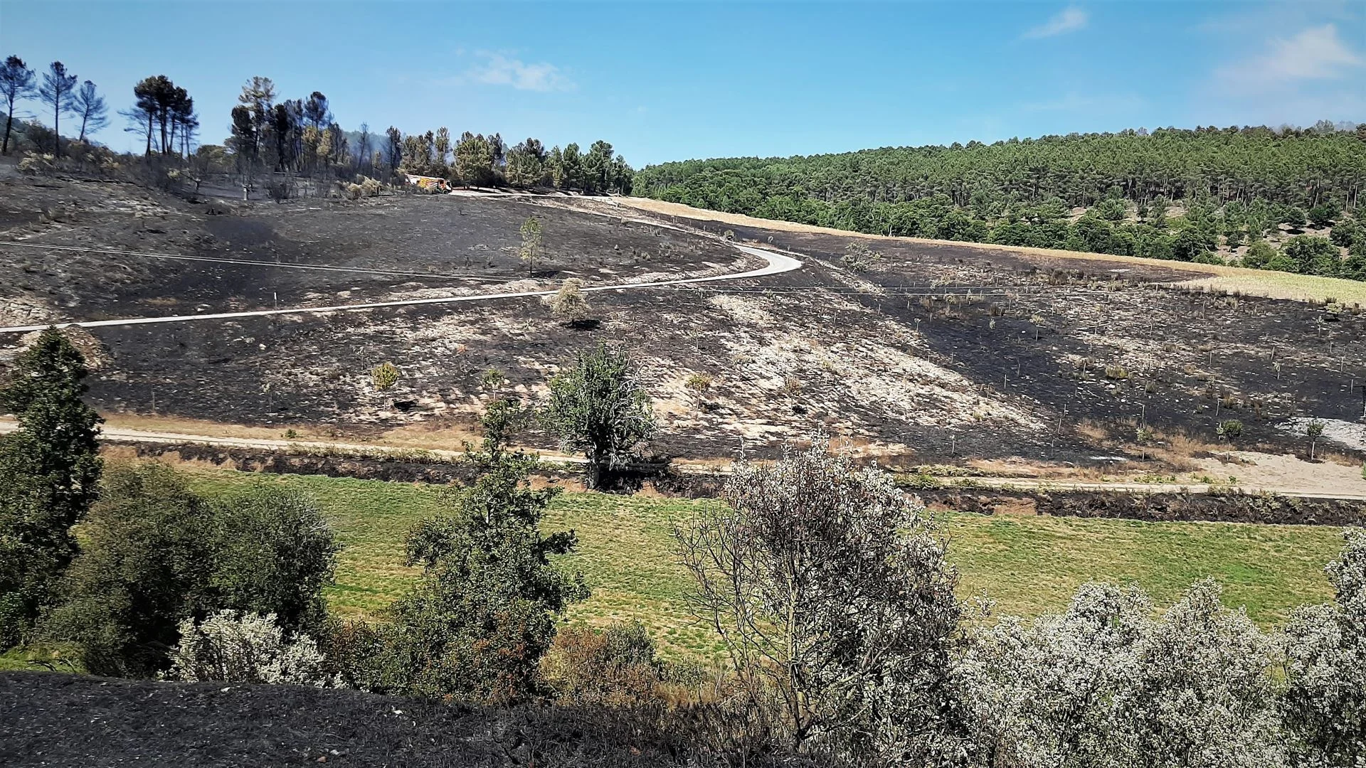 Autarca da Guarda pede rapidez na execução do plano de revitalização da Serra da Estrela