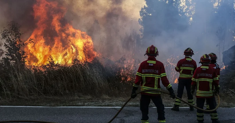 Bombeiros feridos em Arouca com evolução favorável: "Um dia um pouco mais animador"