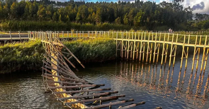 Caís Palafítico da Lagoa de Óbidos interdito devido a colapso de ancoradouro
