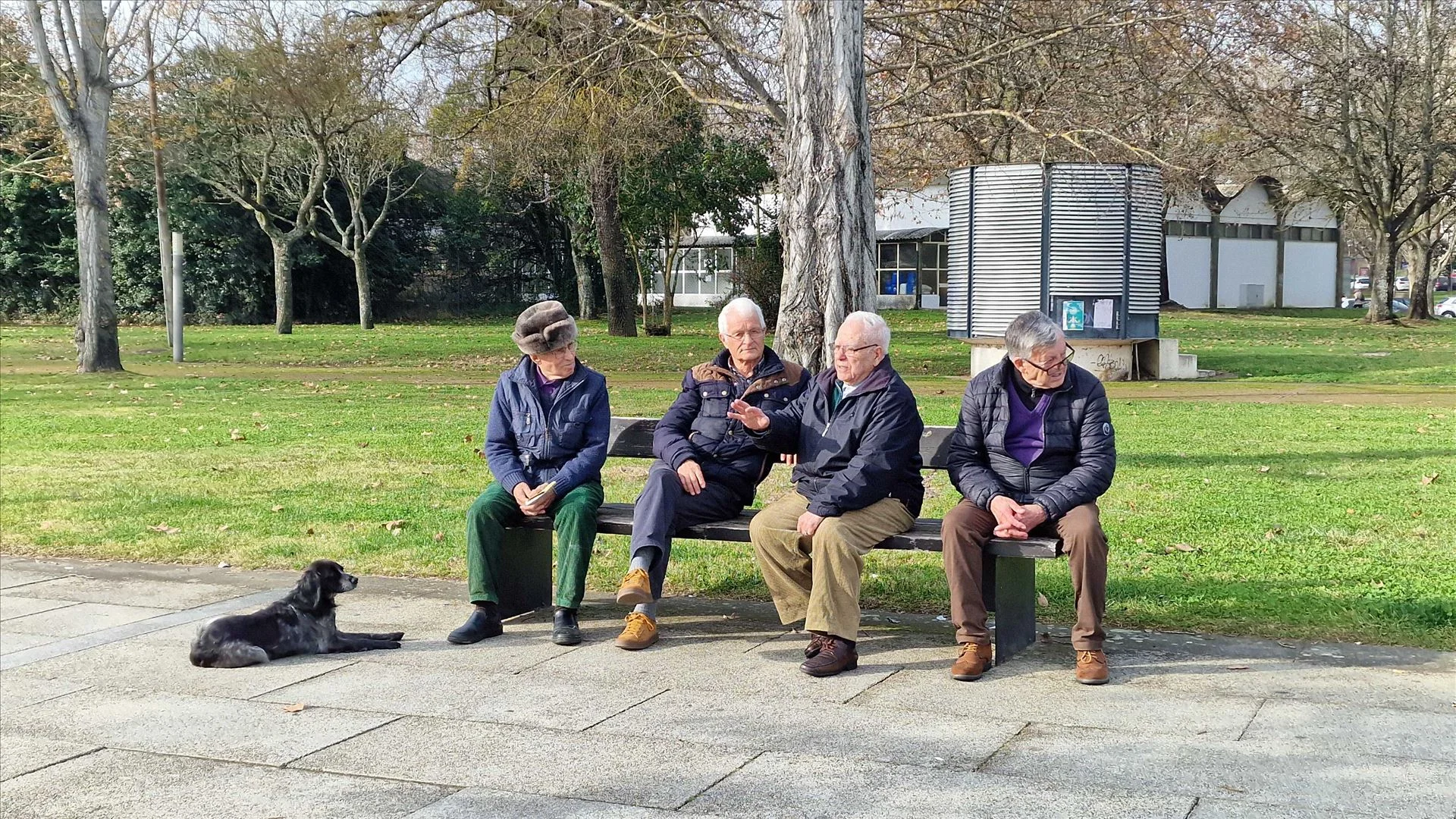 Câmara de Lisboa gastou em publicidade o mesmo que em cuidados de saúde, diz Tribunal de Contas