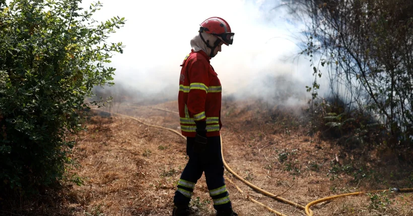 Fogo dominado em Santo Tirso ao fim de dois dias