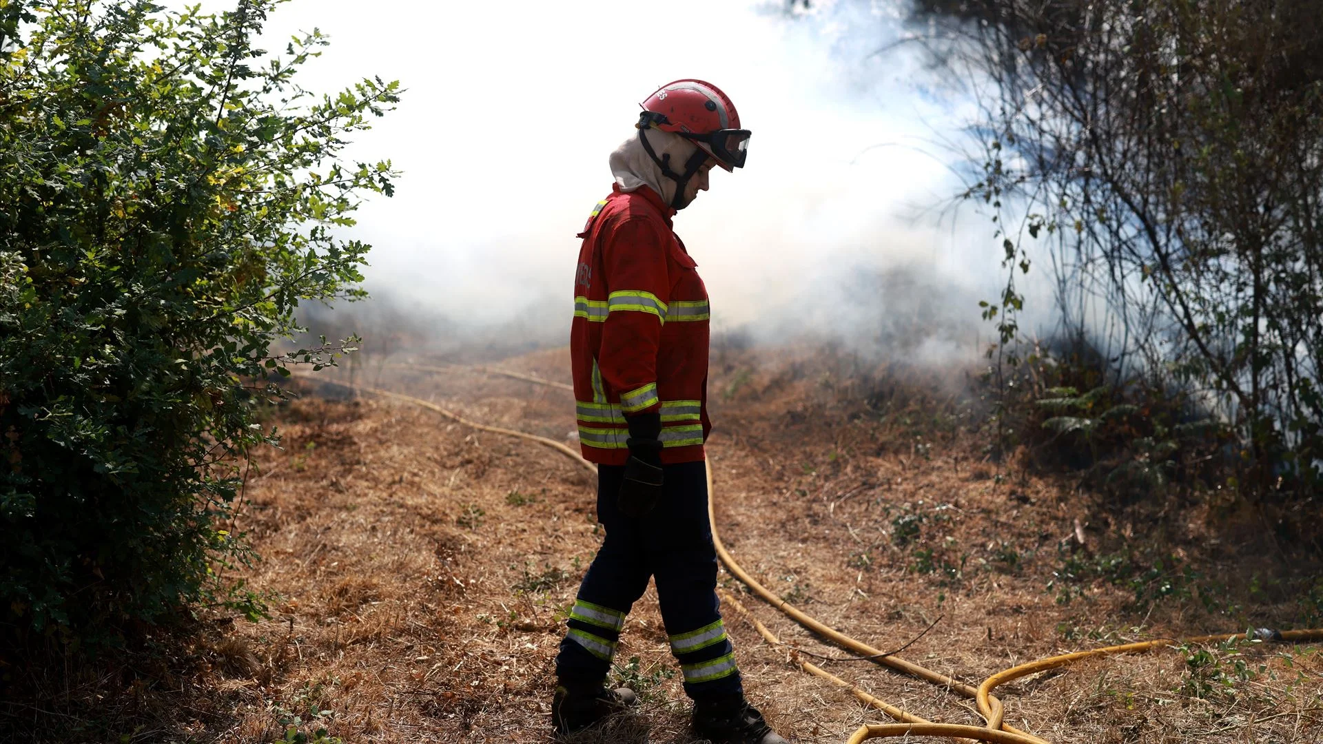 Fogo dominado em Santo Tirso ao fim de dois dias