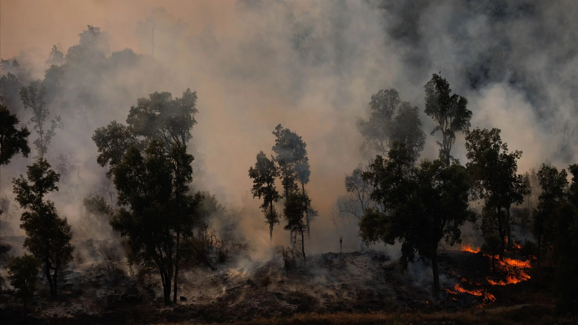 Fogo em Torre de Moncorvo não dá tréguas e obriga a nova estratégia operacional