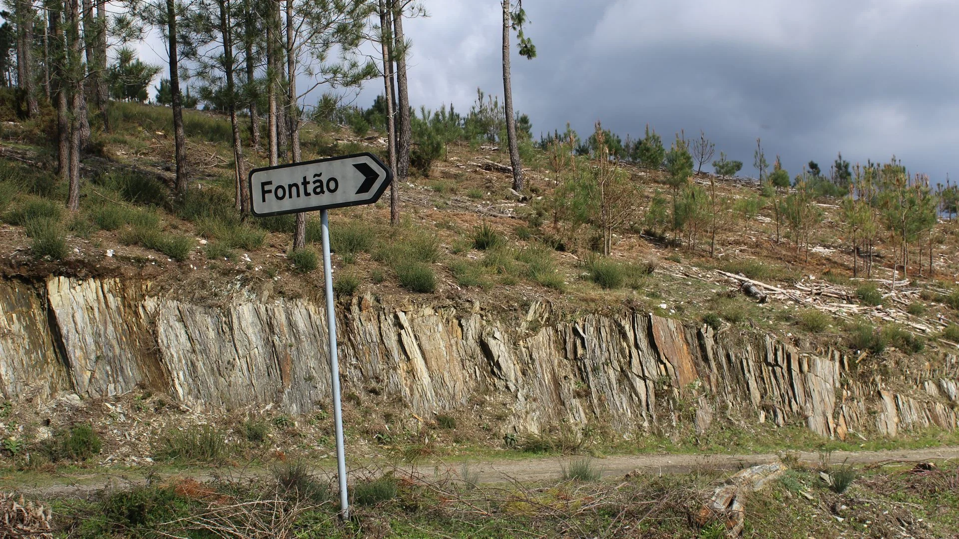 GNR realizou mais de 400 operações de proteção e socorro em áreas de montanha
