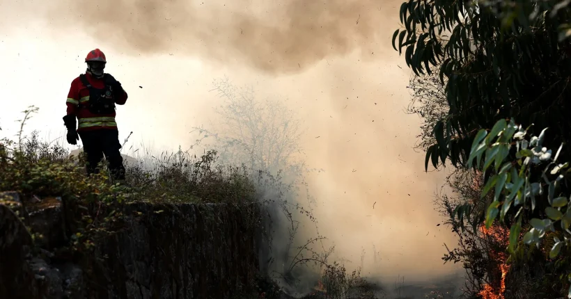 Incêndio corta IC1 no concelho de Santiago do Cacém