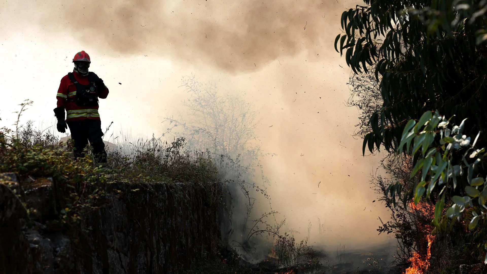 Incêndio corta IC1 no concelho de Santiago do Cacém